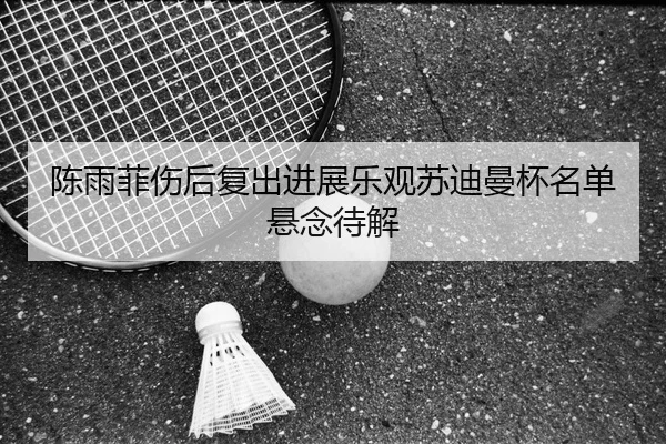 陈雨菲伤后复出进展乐观苏迪曼杯名单悬念待解