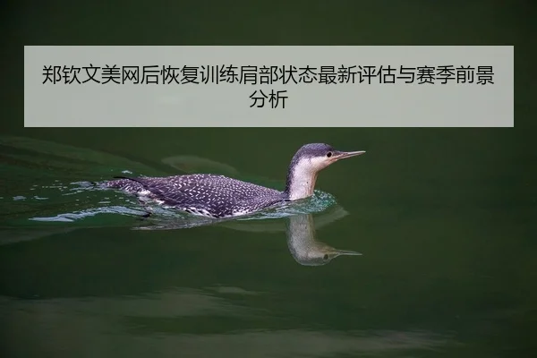 郑钦文美网后恢复训练肩部状态最新评估与赛季前景分析