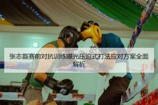 张志磊赛前对抗训练曝光压迫式打法应对方案全面解析